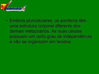 • Embora pluricelulares, os poríferos têm
  uma estrutura corporal diferente dos
  demais metazoários. As suas células
  possuem um certo grau de independência
  e não se organizam em tecidos.
 