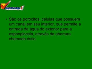 • São os porócitos, células que possuem
  um canal em seu interior, que permite a
  entrada de água do exterior para a
  espongiocela, através da abertura
  chamada óstio.
 