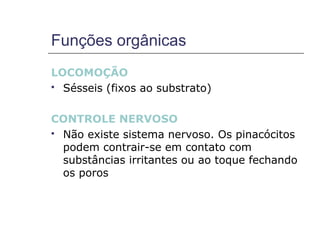 Funções orgânicas
LOCOMOÇÃO
 Sésseis (fixos ao substrato)



CONTROLE NERVOSO
 Não existe sistema nervoso. Os pinacócitos
  podem contrair-se em contato com
  substâncias irritantes ou ao toque fechando
  os poros
 