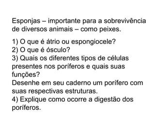 Esponjas – importante para a sobrevivência 
de diversos animais – como peixes. 
1) O que é átrio ou espongiocele? 
2) O que é ósculo? 
3) Quais os diferentes tipos de células 
presentes nos poríferos e quais suas 
funções? 
Desenhe em seu caderno um porífero com 
suas respectivas estruturas. 
4) Explique como ocorre a digestão dos 
poríferos. 
 