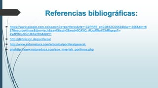 Referencias bibliográficas:
 https://www.google.com.co/search?q=poriferos&rlz=1C2PRFE_enCO652CO652&biw=1366&bih=6
67&source=lnms&tbm=isch&sa=X&sqi=2&ved=0CAYQ_AUoAWoVChMIqeye7--
ZyAIVh3UeCh365wHm&dpr=1
 http://definicion.de/poriferos/
 http://www.asturnatura.com/articulos/porifera/general.
 phphttp://www.natureduca.com/zoo_inverteb_poriferos.php
 