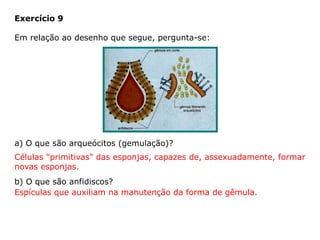 Exercício 9
Em relação ao desenho que segue, pergunta-se:
a) O que são arqueócitos (gemulação)?
b) O que são anfidiscos?
Células "primitivas" das esponjas, capazes de, assexuadamente, formar
novas esponjas.
Espículas que auxiliam na manutenção da forma de gêmula.
 