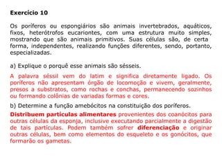 Exercício 10
Os poríferos ou espongiários são animais invertebrados, aquáticos,
fixos, heterótrofos eucariontes, com uma estrutura muito simples,
mostrando que são animais primitivos. Suas células são, de certa
forma, independentes, realizando funções diferentes, sendo, portanto,
especializadas.
a) Explique o porquê esse animais são sésseis.
b) Determine a função amebócitos na constituição dos poríferos.
A palavra séssil vem do latim e significa diretamente ligado. Os
poríferos não apresentam órgão de locomoção e vivem, geralmente,
presos a substratos, como rochas e conchas, permanecendo sozinhos
ou formando colônias de variadas formas e cores.
Distribuem partículas alimentares provenientes dos coanócitos para
outras células da esponja, inclusive executando parcialmente a digestão
de tais partículas. Podem também sofrer diferenciação e originar
outras células, bem como elementos do esqueleto e os gonócitos, que
formarão os gametas.
 