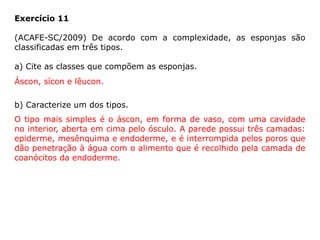 Exercício 11
(ACAFE-SC/2009) De acordo com a complexidade, as esponjas são
classificadas em três tipos.
a) Cite as classes que compõem as esponjas.
b) Caracterize um dos tipos.
Áscon, sícon e lêucon.
O tipo mais simples é o áscon, em forma de vaso, com uma cavidade
no interior, aberta em cima pelo ósculo. A parede possui três camadas:
epiderme, mesênquima e endoderme, e é interrompida pelos poros que
dão penetração à água com o alimento que é recolhido pela camada de
coanócitos da endoderme.
 