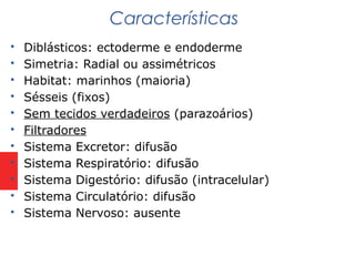  Diblásticos: ectoderme e endoderme
 Simetria: Radial ou assimétricos
 Habitat: marinhos (maioria)
 Sésseis (fixos)
 Sem tecidos verdadeiros (parazoários)
 Filtradores
 Sistema Excretor: difusão
 Sistema Respiratório: difusão
 Sistema Digestório: difusão (intracelular)
 Sistema Circulatório: difusão
 Sistema Nervoso: ausente
Características
 