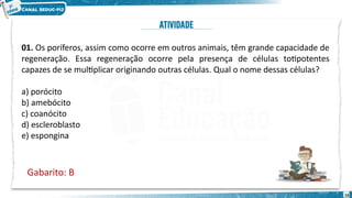 Atividade sobre Poriferos (questões objetivas) | PDF