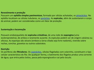 Revestimento e proteçãoPossuem um epitélio simples pavimentoso, formado por células achatadas, os pinacócitos. No epitélio localizam-se células tubulares, os porócitos. As espículas, além de sustentarem o corpo do animal, podem ser consideradas como um fator de proteção.Sustentação e locomoçãoPossuem endoesqueleto de espículas cristalinas, de uma rede de espongina (uma escleroproteína), de ambos e raramente ausente. As espículas podem ser de origem calcárea ou silicosa. As esponjas são sésseis (embora a larva ciliada seja livre-nadante), vivendo sobre rochas, conchas, gravetos ou outros substratos.NutriçãoOs poríferos são filtradores. Os coanócitos, células flageladas com colarinho, constituem o tipo celular característico do filo. De qualquer forma, o batimento dos flagelos produz uma corrente de água, que entra pelos óstios, passa pela espongiocela e sai pelo ósculo. 
