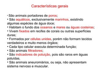 Características gerais
• São animais portadores de poros;
• São aquáticos, exclusivamente marinhos, existindo
algumas espécies de água doce;
• Habitam o fundo dos oceanos e mares ou águas costeiras;
• Vivem fixados em recifes de corais ou outras superfícies
duras;
• Formados por células unidas, porém não formam tecidos
verdadeiros e muito menos órgãos;
• Cada tipo celular executa determinada função;
• São animais filtradores;
• São indicadores de poluição, pois são raros em águas
poluídas.
• São animais aneuromiários, ou seja, não apresentam
sistema nervoso e muscular.
 