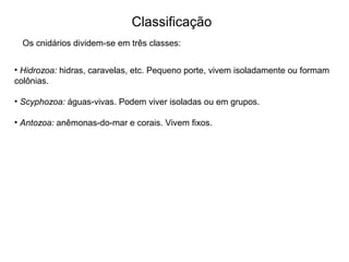 Classificação
• Hidrozoa: hidras, caravelas, etc. Pequeno porte, vivem isoladamente ou formam
colônias.
• Scyphozoa: águas-vivas. Podem viver isoladas ou em grupos.
• Antozoa: anêmonas-do-mar e corais. Vivem fixos.
Os cnidários dividem-se em três classes:
 