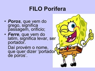 FILO Porifera Poros , que vem do grego, significa passagem, orificio; Ferre , que vem do latim, significa levar, ser portador. Daí provém o nome, que quer dizer ‘portador de poros’. 