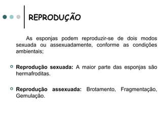 REPRODUÇÃO

        As esponjas podem reproduzir-se de dois modos
    sexuada ou assexuadamente, conforme as condições
    ambientais;

   Reprodução sexuada: A maior parte das esponjas são
    hermafroditas.

   Reprodução assexuada: Brotamento, Fragmentação,
    Gemulação.
 