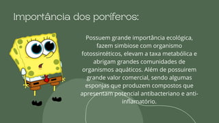 Possuem grande importância ecológica,
fazem simbiose com organismo
fotossintéticos, elevam a taxa metabólica e
abrigam grandes comunidades de
organismos aquáticos. Além de possuirem
grande valor comercial, sendo algumas
esponjas que produzem compostos que
apresentam potencial antibacteriano e anti-
inflamatório.
Importância dos poríferos:
 