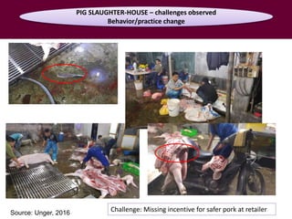 Food safety along informal pork value chains in Vietnam: Success and challenges from an interdisciplinary research team view