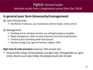 Food safety along informal pork market chains in Vietnam: Experience from an integrated research team