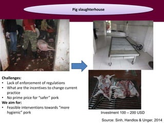 Food safety along informal pork market chains in Vietnam: Experience from an integrated research team