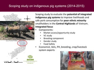 Food safety along informal pork market chains in Vietnam: Experience from an integrated research team