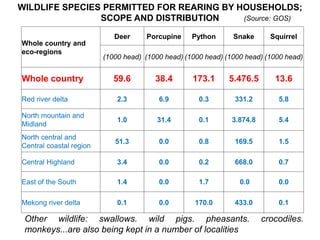 Pork value chain in Vietnam: Now, future and challenges