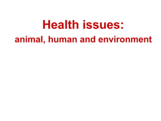 Pork value chain in Vietnam: Now, future and challenges