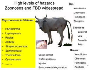 Pork value chain in Vietnam: Now, future and challenges