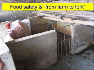 Pork value chain in Vietnam: Now, future and challenges