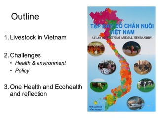 Pork value chain in Vietnam: Now, future and challenges