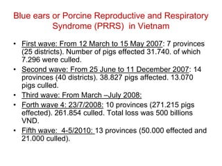 Pork value chain in Vietnam: Now, future and challenges