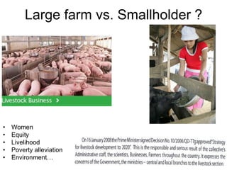 Pork value chain in Vietnam: Now, future and challenges