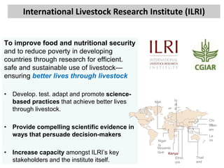 Pork value chain in Vietnam: Now, future and challenges