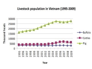 Pork value chain in Vietnam: Now, future and challenges