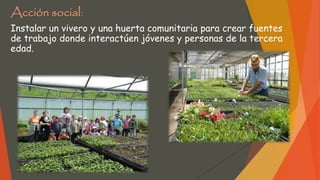 Acción social:
Instalar un vivero y una huerta comunitaria para crear fuentes
de trabajo donde interactúen jóvenes y personas de la tercera
edad.
 