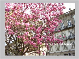 Cor na Praça da Liberdade
 