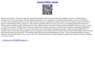Porn And Prose Essay | PPT