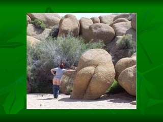 Porno de la naturaleza | PPT