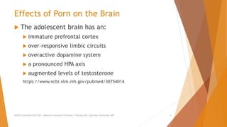 The Porn Trap: Understanding The Neurochemical Effects of Porn
