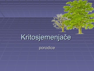 Kritosjemenjače
     porodice
 