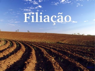 Filiação
 