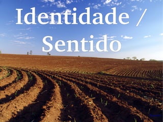 Identidade / 
Sentido
 