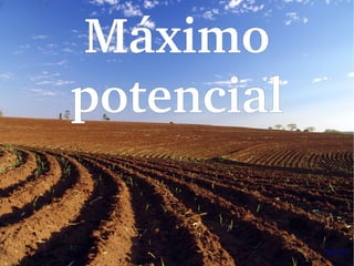 Máximo 
potencial
 