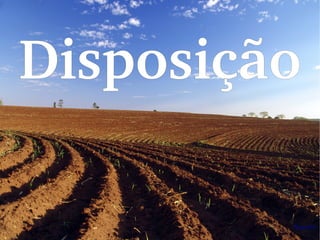 Disposição
 