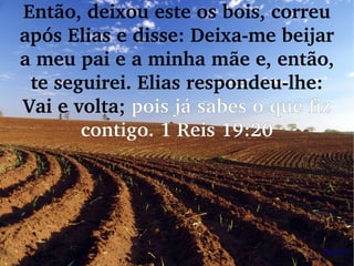 Então, deixou este os bois, correu 
após Elias e disse: Deixa­me beijar 
a meu pai e a minha mãe e, então, 
te seguirei. Elias respondeu­lhe: 
Vai e volta; pois já sabes o que fiz 
contigo. 1 Reis 19:20
 
