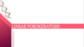 LINEAR POROKERATOSIS
 