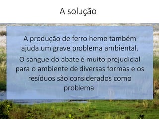 A produção de ferro heme também
ajuda um grave problema ambiental. 
O sangue do abate é muito prejudicial
para o ambiente de diversas formas e os
resíduos são considerados como
problema.

.
A solução
 