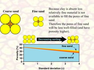 Because clay is absent less
relatively fine material is not
available to fill the pores of fine
sand.
Therefore the pores of fine sand
will be less well-filled (and have
porosity higher).

 