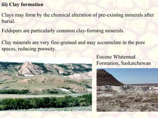 iii) Clay formation
Clays may form by the chemical alteration of pre-existing minerals after
burial.
Feldspars are particularly common clay-forming minerals.
Clay minerals are very fine-grained and may accumulate in the pore
spaces, reducing porosity.
Eocene Whitemud
Formation, Saskatchewan

 