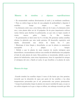 Manera           de        siembra        y         algunas       especificaciones

• Es recomendado sembrar directamente al suelo y no mediante semilleros.
• Para su cultivo haga un hoyo de una pulgada de profundidad y deposite 2
semillas.              Luego               riegue               con               agua.
• La distancia entre una y otra hilera, debe ser de 2 pies y la distancia entre
una y otra planta debe ser de 18 pulgadas. Es de gran importancia cultivar
varias hileras para facilitar la polinización, ya que esta se logra cuando el
viento         mueve           polen      hasta         la        flor          hembra.
• Su germinación se dará entre los 8 a 12 días. De germinar ambas semillas
elimine la plántula que más tarde germine. El desarrollo vegetativo será
rápido,       alcanzando       una     altura      de   hasta         los   7      pies.
• Mantenga el área limpia y desyerbada, ya que la planta es sumamente
susceptible                a              plagas              y                 hongos.
• Debido a que la planta de maíz requiere de mucho nitrógeno para
desarrollarse, recomendamos cultivar una semilla de habichuelas seis pulgadas
al lado de cada planta de maíz. Esta práctica se recomienda, debido a que la
planta de habichuelas, como otras leguminosas, tiene la capacidad de atrapar
el nitrógeno del aire y fijarlo al suelo, lo que beneficia a la planta de maíz.




Manera de riego



.Cuando siembre las semillas riegue 2 veces al día hasta que ésta germine,
recuerde que la absorción de agua por parte de las semillas y las altas
temperaturas provocadas por el sol, promoverán una pronta germinación.
• Luego de germinadas riegue la planta con mayor cantidad de agua, ya que es
un cultivo exigente en lo que a riego se refiere, sin embargo recuerde que debe
 