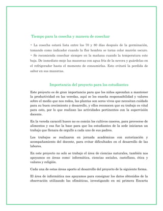 Tiempo para la cosecha y manera de cosechar

• La cosecha estará lista entre los 70 y 80 días después de la germinación,
tomando como indicador cuando la flor hembra se torna color marrón oscuro.
• Se recomienda cosechar siempre en la mañana cuando la temperatura este
baja. De inmediato moje las mazorcas con agua fría de la nevera y guárdelas en
el refrigerador hasta el momento de consumirlas. Esto evitará la perdida de
sabor en sus mazorcas.



             Importancia del proyecto para los estudiantes
Este proyecto es de gran importancia para que los niños aprendan a mantener
la productividad en las veredas, aquí se les enseña responsabilidad y valores
sobre el medio que nos rodea, las plantas son seres vivos que necesitan cuidado
para su buen crecimiento y desarrollo, y ellos reconocen que su trabajo es vital
para esto, por lo que realizan las actividades pertinentes con la supervisión
docente.

En la vereda caracolí hueco no es común los cultivos caseros, para proveerse de
alimentos y esa fue la base para que los estudiantes de la sede iniciaran un
trabajo que llenara de orgullo a cada uno de sus padres.

Los trabajos se realizaron en jornada académicas con autorización y
acompañamiento del docente, para evitar dificultades en el desarrollo de las
labores.

En este proyecto no solo se trabajo el área de ciencias naturales, también nos
apoyamos en áreas como: informática, ciencias sociales, castellano, ética y
valores y religión.

Cada una de estas áreas aporto al desarrollo del proyecto de la siguiente forma.

El área de informática nos apoyamos para consignar los datos obtenidos de la
observación utilizando las ofimáticas, investigando en mi primera Encarta
 