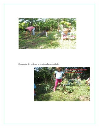 Con ayuda del profesor se realizan las actividades
 