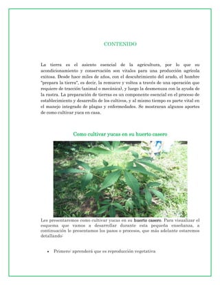 CONTENIDO



La tierra es el asiento esencial de la agricultura, por lo que su
acondicionamiento y conservación son vitales para una producción agrícola
exitosa. Desde hace miles de años, con el descubrimiento del arado, el hombre
"prepara la tierra", es decir, la remueve y voltea a través de una operación que
requiere de tracción (animal o mecánica), y luego la desmenuza con la ayuda de
la rastra. La preparación de tierras es un componente esencial en el proceso de
establecimiento y desarrollo de los cultivos, y al mismo tiempo es parte vital en
el manejo integrado de plagas y enfermedades. Se mostraran algunos aportes
de como cultivar yuca en casa.




                Como cultivar yucas en su huerto casero




Les presentaremos como cultivar yucas en su huerto casero. Para visualizar el
esquema que vamos a desarrollar durante esta pequeña enseñanza, a
continuación le presentamos los pasos o procesos, que más adelante estaremos
detallando:


      Primero: aprenderá que es reproducción vegetativa
 