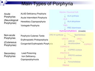 Acute
Porphyrias Acute Intermittent Porphyria
Variegate Porphyria
Hereditary Coproporphyria
Porphyria Cutanea Tarda
Congenital Erythropietic Porphyria
Non-acute
Porphyrias
ALAD Deficiency Porphyria
Secondary
Porphyrias
Lead Poisoning
Iron Deficiency
Coproporphyrinuria
Glycine +Succinyl CoA
ALA synthase
ALA
ALA dehydrase
PBG
PBG deaminase
Hydroxymethylbilane
URO III URO I
URO III synthase Spontaneous
COPRO III
COPRO I
PROTO IX
COPRO oxidase
URO III
decarboxylase
PROTO oxidase
Protoporphyrin IX
Ferrochelatase
Heme
Erythropoietic Protoporphyria
(Neurological
Porphyrias)
(Cutaneous
Porphyrias)
(Unstable)
Main Types of Porphyria
 
