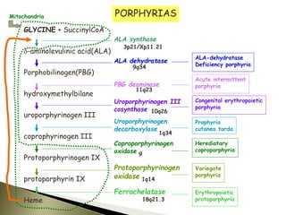 PORPHYRIAS
GLYCINE + SuccinylCoA
d-aminolevulinic acid(ALA)
Porphobilinogen(PBG)
hydroxymethylbilane
uroporphyrinogen III
coprophyrinogen III
Protoporphyrinogen IX
protoporphyrin IX
Heme
ALA synthase
ALA dehydratase
PBG deaminase
Uroporphyrinogen III
cosynthase
Uroporphyrinogen
decarboxylase
Coproporphyrinogen
oxidase
Protoporphyrinogen
oxidase
Ferrochelatase
ALA-dehydratase
Deficiency porphyria
Acute intermittent
porphyria
Congenital erythropoietic
porphyria
Prophyria
cutanea tarda
Herediatary
coproporphyria
Variegate
porphyria
Erythropoietic
protoporphyria
Mitochondria
9q34
11q23
10q26
1q34
9
1q14
18q21.3
3p21/Xp11.21
 